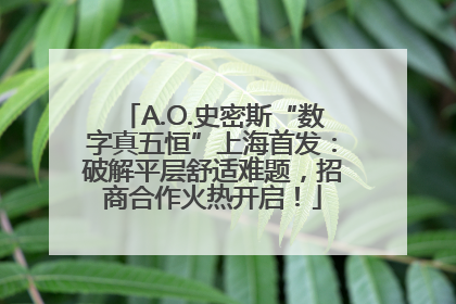 A.O.史密斯“数字真五恒”上海首发：破解平层舒适难题，招商合作火热开启！