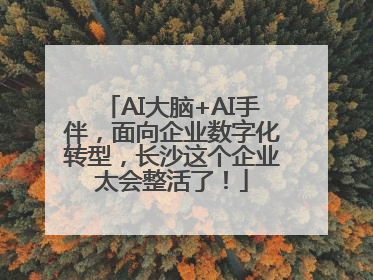 AI大脑+AI手伴，面向企业数字化转型，长沙这个企业太会整活了！