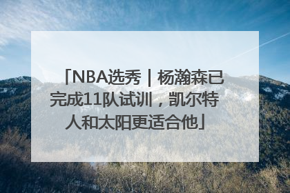 NBA选秀｜杨瀚森已完成11队试训，凯尔特人和太阳更适合他