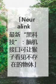 Neuralink最新“黑科技”：脑机接口可让猴子看见不存在的物体